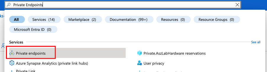 Select Private Endpoint > Endpoints